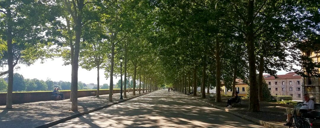 Lucca city tour
