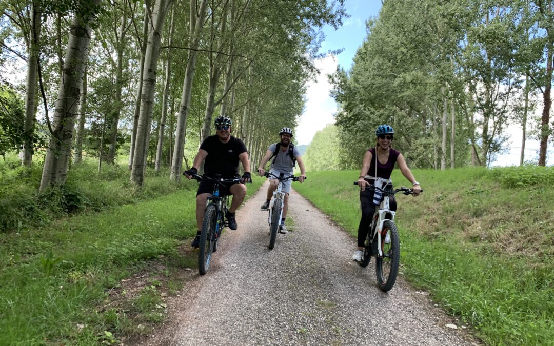 E-bike Pisa to San Rossore