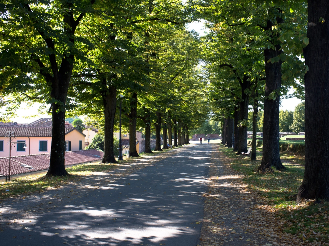Walls of Lucca