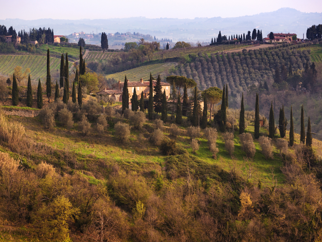 Tuscan countryside from train